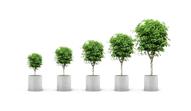 corporatesocialresponsibility
